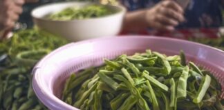 Blanşlama, özellikle sebzeleri pişirmeden önce uygulanan kısa süreli haşlama ve ardından soğuk suya alma işlemidir. Bu yöntem mutfakta hem lezzet hem de sağlık açısından önemli faydalar sunar. Sebzeler, kaynar suya kısa süre bırakıldıktan sonra hızlıca buzlu suya alınır. Böylece hem renklerini hem de tazeliklerini korurlar. Özellikle brokoli, fasulye, ıspanak ve havuç gibi sebzelerde bu yöntem yaygın olarak kullanılır. Konulu bir haber görseli.