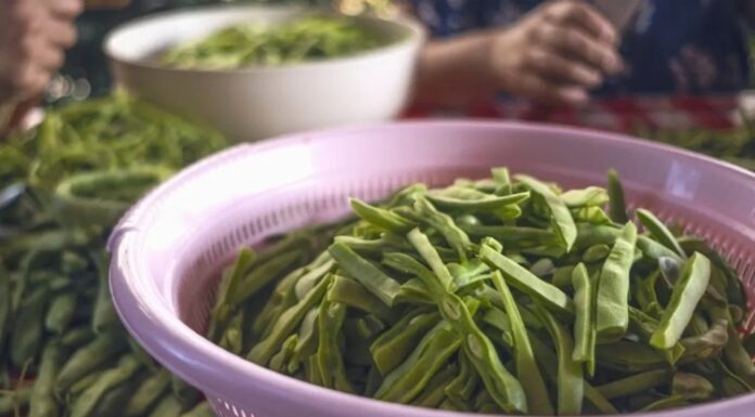 Blanşlama, özellikle sebzeleri pişirmeden önce uygulanan kısa süreli haşlama ve ardından soğuk suya alma işlemidir. Bu yöntem mutfakta hem lezzet hem de sağlık açısından önemli faydalar sunar. Sebzeler, kaynar suya kısa süre bırakıldıktan sonra hızlıca buzlu suya alınır. Böylece hem renklerini hem de tazeliklerini korurlar. Özellikle brokoli, fasulye, ıspanak ve havuç gibi sebzelerde bu yöntem yaygın olarak kullanılır. Konulu bir haber görseli.
