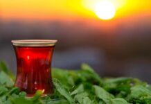 Çay, yüzyıllardır insanlığın hayatında yer alan, kültürleri şekillendiren ve toplumsal bağları güçlendiren bir içecek olmuştur. Sıcak veya soğuk olarak tüketilebilen bu eşsiz içecek, dünyanın dört bir yanında farklı gelenekler ve ritüellerle hayat bulur. Çay kültürü, yalnızca damakta bıraktığı tat ile değil, aynı zamanda taşıdığı tarih ve hikâyelerle de öne çıkar. Konulu bir haber görseli.