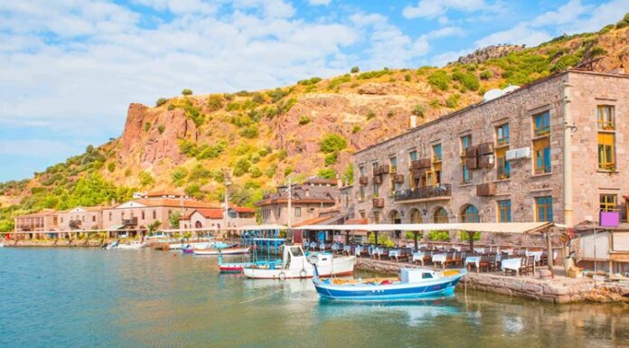 Ege mutfağı, doğallığın ve sade şıklığın bir araya geldiği, yüzyıllardır süregelen bir beslenme anlayışını temsil eder. Bu coğrafyada denizle toprak adeta el ele vermiştir. Kıyılardan gelen taptaze deniz ürünleri, dağlardan ve tarlalardan toplanan Ege otlarıyla birleştiğinde, ortaya hem damakları şenlendiren hem de bedene iyi gelen yemekler çıkar. Konulu bir haber görseli.