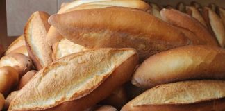 Ekmek, sadece bir besin değil aynı zamanda kültürel bir sembol olmuştur. İlk yerleşik toplulukların buğdayı öğütüp hamur haline getirerek pişirmesiyle başlayan yolculuk, bugün sofralarda çeşit çeşit ekmeklerle devam ediyor.