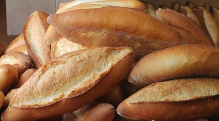 Ekmek, sadece bir besin değil aynı zamanda kültürel bir sembol olmuştur. İlk yerleşik toplulukların buğdayı öğütüp hamur haline getirerek pişirmesiyle başlayan yolculuk, bugün sofralarda çeşit çeşit ekmeklerle devam ediyor.