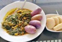 Gabon mutfağı, Orta Afrika’nın zengin kültürel çeşitliliğini sofralara taşıyan özgün bir mutfaktır. Ülke, Atlantik Okyanusu’na kıyısı ve tropikal iklimi sayesinde hem deniz ürünleri hem de tropikal bitkiler açısından oldukça zengindir. Gabon’un yemek kültürü, yerel halkın geleneksel pişirme yöntemleri ile Fransız mutfağından gelen etkilerin birleşiminden oluşur. Bu birleşim, Gabon sofralarına hem egzotik hem de zengin tatlar kazandırır. Konulu bir haber görseli.