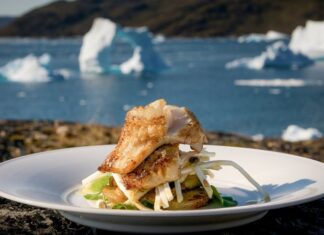 Grönland Mutfağı, Arktik iklimin zorluklarıyla şekillenmiş bir yemek kültürünü yansıtır. Kuzey Atlantik ile Arktik Okyanusu arasında yaşayan Inuit halkı, yüzlerce yıldır bu bölgenin doğal kaynaklarını kullanarak besleyici ve dayanıklı yemekler geliştirmiştir. Bölgedeki sert iklim, tarım faaliyetlerini kısıtladığı için mutfak, ağırlıklı olarak deniz ve kara hayvanlarının etine dayanır. Konulu bir haber görseli.