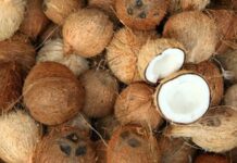 Hindistancevizi yağı, mutfaklarda hem sağlıklı hem de aromatik bir pişirme malzemesi olarak öne çıkar. Hindistancevizi yağıyla pişirme, yiyeceklerin doğal lezzetini korumasına ve aroma kazanmasına yardımcı olur. Özellikle kavurma tekniklerinde bu yağ, yiyeceklerin dış yüzeyini hafifçe kızartırken iç dokusunu yumuşak bırakır. Konulu bir haber görseli.