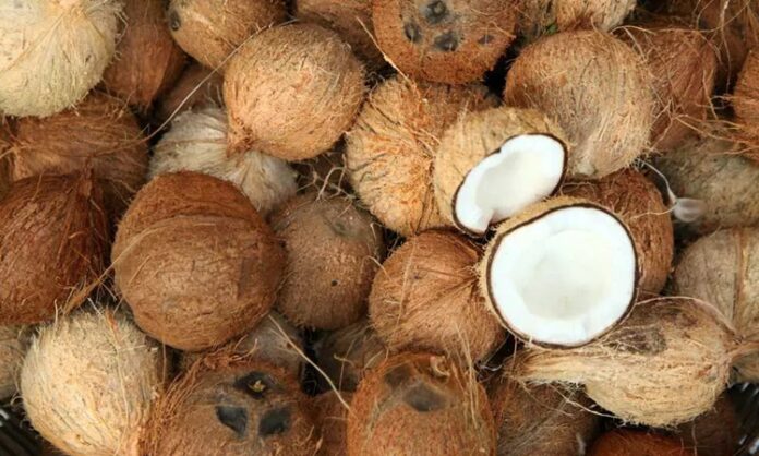 Hindistancevizi yağı, mutfaklarda hem sağlıklı hem de aromatik bir pişirme malzemesi olarak öne çıkar. Hindistancevizi yağıyla pişirme, yiyeceklerin doğal lezzetini korumasına ve aroma kazanmasına yardımcı olur. Özellikle kavurma tekniklerinde bu yağ, yiyeceklerin dış yüzeyini hafifçe kızartırken iç dokusunu yumuşak bırakır. Konulu bir haber görseli.