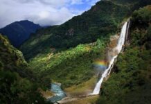 Kuzeydoğu Hindistan Mutfağı, ülkenin diğer bölgelerinden oldukça farklı bir gastronomik yapıya sahiptir. Assam, Meghalaya, Manipur, Mizoram, Tripura, Nagaland ve Arunachal Pradesh gibi eyaletlerin birleşiminden oluşan bu mutfak, yerel kültürler ve etnik grupların etkisiyle şekillenmiştir. Bu zengin kültürel çeşitlilik, yemeklerde hem tat hem de pişirme tekniklerinde kendini gösterir. Konulu bir haber görseli.