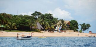 Malavi mutfağı, Afrika’nın doğusunda yer alan bu küçük ülkenin zengin kültürel çeşitliliğini sofralara taşır. Yüzyıllar boyunca farklı etnik grupların bir arada yaşaması, mutfağın lezzet repertuarını zenginleştirmiştir. Ada ülkelerine kıyasla daha kırsal ve doğal bir yemek kültürü hakimdir. Konulu bir haber görseli.