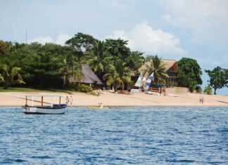 Malavi mutfağı, Afrika’nın doğusunda yer alan bu küçük ülkenin zengin kültürel çeşitliliğini sofralara taşır. Yüzyıllar boyunca farklı etnik grupların bir arada yaşaması, mutfağın lezzet repertuarını zenginleştirmiştir. Ada ülkelerine kıyasla daha kırsal ve doğal bir yemek kültürü hakimdir. Konulu bir haber görseli.