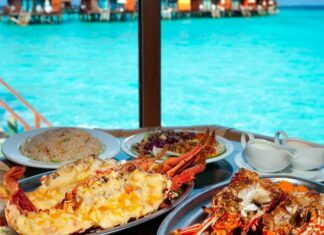 Maldivler mutfağı, Hint Okyanusu’nun tropikal adalarında şekillenmiş, taze ve doğal ürünlere dayalı bir mutfaktır. Deniz ürünleri ve tropikal tarım ürünleri, Maldivler’in mutfak kültürünü belirleyen en önemli unsurlardır. Tarih boyunca Arap, Hint ve Sri Lanka mutfaklarından etkilenmiş olan bu geleneksel mutfak, hem lezzet hem de görsellik açısından dikkat çeker. Konulu bir haber görseli.