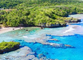 Niue Mutfağı, Güney Pasifik’in küçük ama zengin kültürel geçmişe sahip adası Niue’nin geleneksel yemeklerini ve beslenme alışkanlıklarını yansıtır. Ada halkı yüzyıllardır deniz ürünleri, tropikal meyveler ve kök sebzeleri kullanarak kendine özgü tarifler geliştirmiştir. Hindistancevizi, taro, balık ve muz, Niue mutfağının temel ögeleri arasında yer alır.