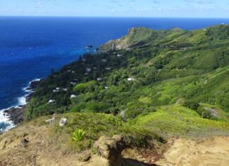Pitcairn Adaları Mutfağı, Güney Pasifik’in en küçük yerleşim yerlerinden biri olan Pitcairn Adaları’nın geleneksel beslenme alışkanlıklarını ve kültürel mirasını yansıtır. Ada halkı, yüzyıllardır deniz ürünleri, tropikal meyveler ve kök sebzelerle kendine özgü tarifler geliştirmiştir. Hindistancevizi, taro, balık ve muz, Pitcairn mutfağının temel ögeleri arasında yer alır. Konulu bir haber görseli.