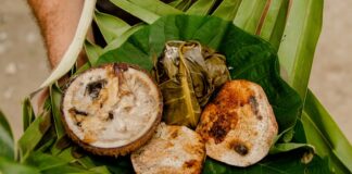Samoa Mutfağı Samoa Mutfağı, Güney Pasifik’in tropikal adası Samoa’nın zengin kültürel geçmişini yansıtan bir gastronomi anlayışıdır. Yüzyıllardır yerli halk, ada kaynaklarını ve deniz ürünlerini kullanarak kendine özgü tarifler geliştirmiştir. Balık ve diğer deniz ürünleri, kök sebzeler, tropikal meyveler ve hindistancevizi, Samoa mutfağının temel ögelerindendir. Konulu bir haber görseli.