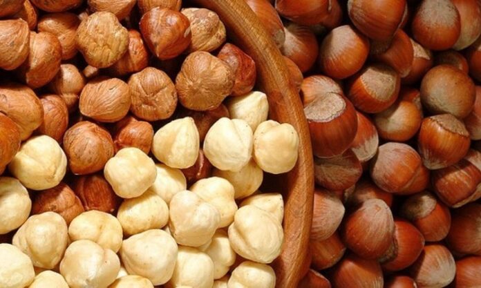 Fındık ve ceviz, sofraların hem lezzet hem de besin değeri açısından vazgeçilmez unsurları arasında yer alıyor. Özellikle kahvaltıdan ana öğünlere, tatlılardan atıştırmalıklara kadar geniş bir kullanım alanına sahip olan bu kuruyemişler, zengin içeriğiyle sağlıklı beslenmenin destekçisi konumunda. Türkiye, özellikle fındık üretiminde dünya lideri olması sebebiyle sofralarda tazeliği ve kalitesiyle öne çıkan fındığı bolca kullanır. Ceviz ise hem taze hem de kırılmış olarak mutfaklarda önemli bir yer tutar. Konulu bir haber görseli.