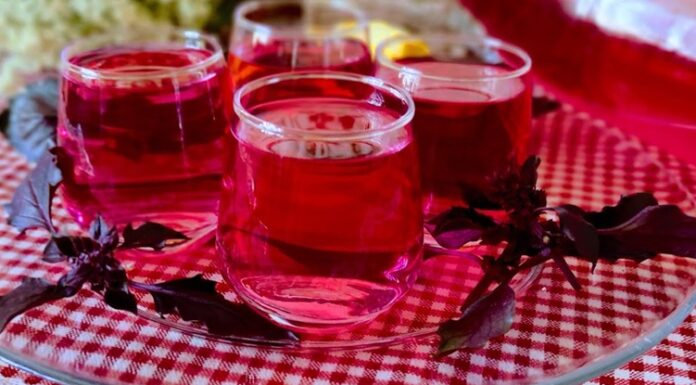 Şerbet ve kompostolar, özellikle yaz aylarında sofralarda hem ferahlık hem de tatlı bir lezzet sunan geleneksel içecekler arasında yer alır. Yüzyıllardır Anadolu’dan Balkanlara, Orta Doğu’dan Akdeniz’e kadar uzanan geniş coğrafyada sofraların vazgeçilmezidir. Şerbetler; meyve, çiçek ve baharatların su, şeker ve bazen de sirkeyle birleşmesiyle hazırlanırken, kompostolar ise taze veya kuru meyvelerin suda kaynatılmasıyla elde edilir. Bu içecekler, hafif tatlı yapıları ve doğal aromalarıyla damaklarda kalıcı bir iz bırakır. Konulu bir haber görseli.