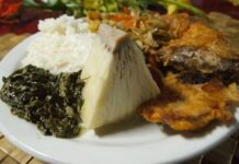 Tonga mutfağı, Güney Pasifik adalarında gelişmiş, tropikal ve doğal ürünlere dayalı bir mutfaktır. Tarih boyunca Polynesian kültürü ile şekillenen bu mutfak, hem geleneksel hem de modern tatları bir araya getirir. Tonga mutfağı, günlük yaşamda aile ve topluluk bağlarını güçlendiren sosyal bir unsur olarak büyük önem taşır. Konulu bir haber görseli.