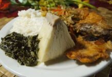 Tonga mutfağı, Pasifik Okyanusu’nun ortasında yer alan bu ada ülkesinin zengin kültürel yapısını yansıtan özel bir gastronomi dünyası sunar. Tarih boyunca hem coğrafi konum hem de ada halkının yaşam biçimi, Tonga mutfağının şekillenmesinde önemli bir rol oynamıştır. Tropikal iklim, bol deniz ürünleri, taro, muz, hindistancevizi gibi yerel ürünler mutfağın temel taşlarını oluşturur. Ayrıca toplumsal yaşamda yemeklerin paylaşılması, aile bağlarının güçlenmesine katkı sağlar. Bu nedenle Tonga mutfağı yalnızca damak tadı değil, aynı zamanda bir kültürel miras olarak da değerlendirilir. Konulu bir haber görseli.
