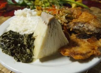 Tonga mutfağı, Pasifik Okyanusu’nun ortasında yer alan bu ada ülkesinin zengin kültürel yapısını yansıtan özel bir gastronomi dünyası sunar. Tarih boyunca hem coğrafi konum hem de ada halkının yaşam biçimi, Tonga mutfağının şekillenmesinde önemli bir rol oynamıştır. Tropikal iklim, bol deniz ürünleri, taro, muz, hindistancevizi gibi yerel ürünler mutfağın temel taşlarını oluşturur. Ayrıca toplumsal yaşamda yemeklerin paylaşılması, aile bağlarının güçlenmesine katkı sağlar. Bu nedenle Tonga mutfağı yalnızca damak tadı değil, aynı zamanda bir kültürel miras olarak da değerlendirilir. Konulu bir haber görseli.