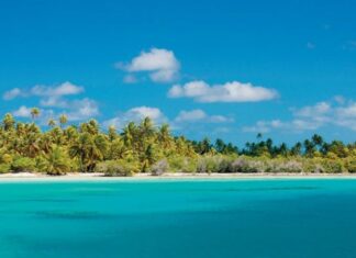 Tuamotu Mutfağı, Fransız Polinezyası’nın geniş bir atol zinciri olan Tuamotu Adaları’nın zengin kültürel geçmişini yansıtan bir gastronomi anlayışıdır. Ada halkı yüzyıllardır deniz ürünleri, tropikal meyveler ve kök sebzeleri kullanarak kendine özgü tarifler geliştirmiştir. Hindistancevizi, balık ve taro, Tuamotu mutfağının temel ögelerindendir. Konulu bir haber görseli.