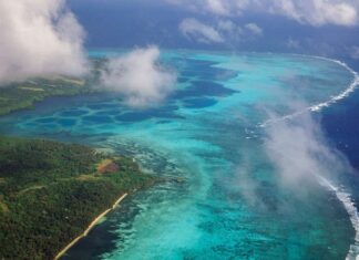 Yap Mutfağı, Pasifik Okyanusu’nun kalbinde yer alan Yap Adaları’nın kültürel kimliğini yansıtan en önemli unsurlardan biridir. Yüzyıllar boyunca yerli halkın doğayla kurduğu bağ, mutfak kültürüne de doğrudan yansımıştır. Balıkçılığa dayalı beslenme biçimleri, tropikal meyvelerin bolluğu ve yerel tarım ürünlerinin çeşitliliği bu mutfağın temelini oluşturur. Konulu bir haber görseli.