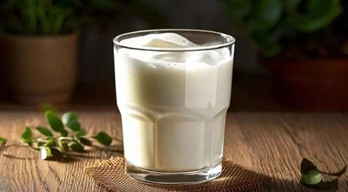 Ayran, yoğurt, su ve tuzun karıştırılmasıyla elde edilen ferahlatıcı ve besleyici bir içecektir. Yüzyıllardır Türk mutfağının vazgeçilmez içeceklerinden biri olan ayran, özellikle yaz aylarında serinlemek isteyenlerin tercihi olmuştur. Tarih boyunca Anadolu'da sofraların olmazsa olmazı olan ayran, hem lezzeti hem de sağlık açısından sunduğu faydalarla öne çıkar. Konulu bir haber görseli.