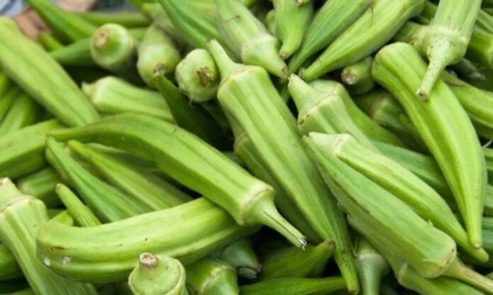 Bamya, Türk mutfağının vazgeçilmez sebzelerinden biridir. Özellikle yaz ve sonbahar aylarında taze olarak bulunabilen bamya, hem sebze yemekleri hem de zeytinyağlı tariflerde sıkça tercih edilir. Tarih boyunca Anadolu sofralarında kendine yer bulan bamya, hem besleyici hem de doyurucu yapısıyla öne çıkar. Konulu bir haber görseli.