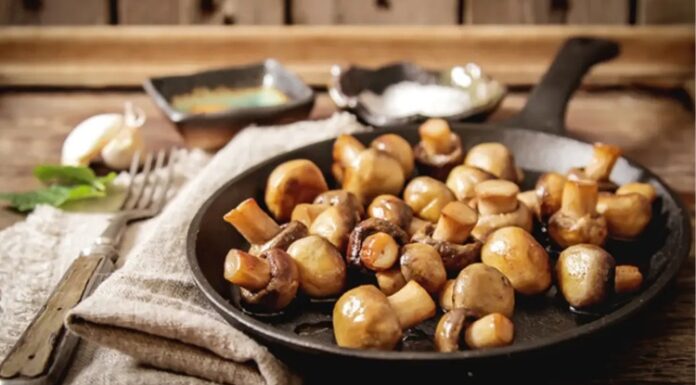 Kavrulmuş mantar, mutfaklarda oldukça sık tercih edilen sağlıklı ve lezzetli bir yemek türüdür. Özellikle hafif beslenmeyi tercih edenler için iyi bir seçenek olan bu yemek, kısa sürede hazırlanabilmesi ve düşük kalori içermesiyle öne çıkar. Hem pratik oluşu hem de farklı tariflere uyarlanabilirliği sayesinde mutfakların vazgeçilmezleri arasında yer alır. Kahvaltılardan akşam yemeklerine kadar geniş bir kullanım alanına sahip olması onu günlük menülerde tercih edilen bir alternatif yapar. Konulu bir haber görseli.