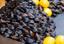 Midye dolma, taze midyelerin pirinç, soğan, baharat ve bazen etle doldurularak hazırlanan geleneksel bir deniz ürünü yemeğidir. Özellikle Karadeniz ve Ege mutfağında sıkça rastlanan bu lezzet, hem sokak lezzeti hem de ev yemeği olarak tüketilmektedir. Midyenin doğal tuzluluğu ve dolgun iç harcı, yemeğe kendine has bir aroma katar. Konulu bir haber görseli.