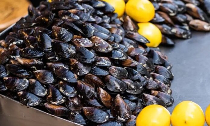 Midye Dolma Denizden Sofralara Lezzetli Atıştırmalık Midye dolma, taze midyelerin pirinç, soğan, baharat ve bazen etle doldurularak hazırlanan geleneksel bir deniz ürünü yemeğidir. Özellikle Karadeniz ve Ege mutfağında sıkça rastlanan bu lezzet, hem sokak lezzeti hem de ev yemeği olarak tüketilmektedir. Midyenin doğal tuzluluğu ve dolgun iç harcı, yemeğe kendine has bir aroma katar. Konulu bir haber görseli.
