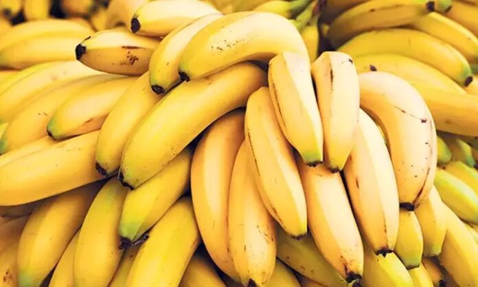 Muzun Faydaları ve Tüketim Alışkanlıkları Hızla Artıyor Muz, içerdiği vitaminler, mineraller ve lif yapısıyla hem sağlıklı beslenme alışkanlıklarının hem de günlük enerji ihtiyacının karşılanmasında önemli bir rol oynuyor. Özellikle potasyum bakımından zengin olan bu meyve, kalp ve damar sağlığının korunmasında etkili kabul ediliyor. Ayrıca magnezyum, B6 vitamini ve C vitamini açısından da güçlü bir kaynak olması, onu yalnızca bir atıştırmalık değil aynı zamanda besleyici bir yiyecek haline getiriyor. Konulu bir haber görseli.