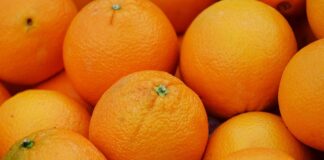 Kış aylarının vazgeçilmez meyvelerinden biri olan portakal, sadece lezzetiyle değil içerdiği besin değerleriyle de dikkat çekiyor. Özellikle C vitamini açısından oldukça zengin olan bu meyve, bağışıklık sistemini güçlendirmede önemli bir role sahip. Soğuk algınlığı ve grip gibi kış hastalıklarına karşı doğal bir koruma sağladığı için portakal, günlük beslenme alışkanlıklarında mutlaka yer alması gereken bir gıda olarak öne çıkıyor. Bunun yanı sıra, içerdiği potasyum, kalsiyum ve lif sayesinde hem kalp sağlığını destekliyor hem de sindirim sistemini düzenliyor. Konulu bir haber görseli.