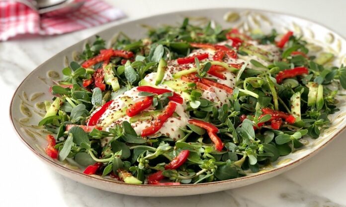 Semizotu Salatası, özellikle yaz aylarında sofraları süsleyen, ferahlatıcı ve sağlıklı bir salata çeşididir. Semizotunun kendine has tadı ve kıtır dokusu, bu salatayı farklı kılan başlıca unsurlardandır. Salatanın kökeni Anadolu mutfağına dayanmakla birlikte, Akdeniz ve Orta Doğu mutfaklarında da uzun yıllardır sofralarda yer alır. Konulu bir haber görseli.