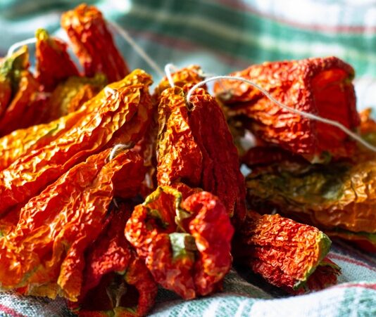 Anadolu’nun köklü mutfak kültürü içinde önemli bir yere sahip olan kurutmalık asma, hem tarımsal üretimin hem de geleneksel beslenme alışkanlıklarının ayrılmaz bir parçasıdır. Asma yaprakları ve üzüm dallarıyla özdeşleşen bu kavram, özellikle yaz aylarında başlayan yoğun bir hazırlık sürecini ifade eder. Kurutmalık asma, sadece bir bitkiyi değil; sabrı, emeği ve mevsim döngüsüne uyumlu yaşamı temsil eder. Konulu bir haber görseli.