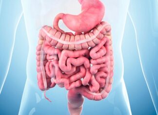 Bağırsaklar, vücudun en kritik sindirim organlarından biridir ve genel sağlık üzerinde doğrudan etkisi vardır. Modern yaşamın hızlı temposu, işlenmiş gıdalar ve stres, bağırsak sağlığını olumsuz etkileyebilir. Bu nedenle bağırsak temizliği diyeti, sindirim sistemini desteklemek, toksinleri atmak ve enerji seviyelerini yükseltmek için önemli bir beslenme yaklaşımıdır. Düzenli olarak uygulandığında hem metabolizmayı hızlandırır hem de bağışıklık sistemini güçlendirir. Konulu bir haber görseli.