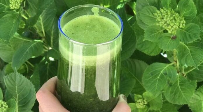 Bitkisel detoks, vücudu toksinlerden arındırmak, sindirim sistemini desteklemek ve enerji seviyesini artırmak için son yıllarda popüler bir beslenme yöntemi haline geldi. Taze sebze, meyve ve bitkisel çaylar ile yapılan bu uygulamalar, hem bedensel hem de zihinsel sağlığı destekler. Bitkisel detoks, doğru uygulandığında metabolizmayı düzenler, bağışıklık sistemini güçlendirir ve yaşam kalitesini artırır. İnsanlar, kısa süreli veya düzenli olarak yapılan bitkisel detoks programları ile sağlıklı yaşam alışkanlıklarını pekiştiriyor. Konulu bir haber görseli.