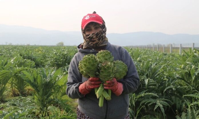Doğallığın İzinde Topraktan Tabağa Yolculuğu Günümüzde gıda tüketimi yalnızca karın doyurmaya yönelik bir alışkanlık olmaktan çıkarak bilinçli bir tercihe dönüşüyor. Bu dönüşümün merkezinde yer alan Topraktan Tabağa anlayışı, gıdanın üretim sürecinden tüketim anına kadar geçen yolculuğunu görünür kılıyor. Tüketiciler artık yalnızca ne yediklerini değil, yedikleri ürünlerin nereden geldiğini, nasıl üretildiğini ve hangi aşamalardan geçtiğini de bilmek istiyor. Konulu bir haber görseli.