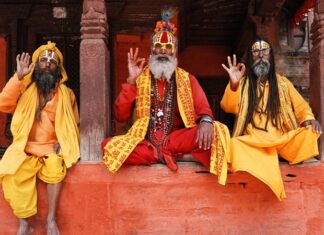 Hindu kültürü içinde beslenme, yalnızca fiziksel ihtiyaçları karşılayan bir alışkanlık değil, aynı zamanda ruhsal saflığı ve etik yaşamı destekleyen önemli bir unsurdur. Hindu diyeti, binlerce yıllık inançlar, felsefi yaklaşımlar ve kültürel gelenekler doğrultusunda şekillenmiş bir beslenme anlayışı sunar. Bu diyet, bireyin bedenini olduğu kadar zihnini ve ruhunu da beslemeyi hedefler. Konulu bir haber görseli.