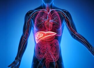 Karaciğer, vücudun en önemli detoks organlarından biridir ve sağlıklı çalışması genel sağlık açısından kritik bir rol oynar. Modern yaşamda işlenmiş gıdalar, alkol ve stres gibi faktörler karaciğerin yükünü artırabilir. Bu nedenle karaciğer temizleme diyeti, vücudu toksinlerden arındırmak, metabolizmayı desteklemek ve enerji seviyelerini yükseltmek için etkili bir yöntem olarak öne çıkıyor. Bu diyet, doğru uygulandığında hem besleyici hem de güvenli bir yaşam tarzı sağlar. Konulu bir haber görseli.