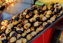 Sokak lezzetleri, bir şehrin hafızasını, gündelik yaşam temposunu ve toplumsal çeşitliliğini en yalın haliyle yansıtan mutfak pratikleri arasında yer alır. Kimi zaman ayaküstü yenilen bir lokma, kimi zaman gece geç saatlerde paylaşılan sıcak bir tat, sokak lezzetlerinin yalnızca karın doyurmaktan ibaret olmadığını gösterir. Bu lezzetler, şehir yaşamının hızına uyum sağlayan pratik çözümler sunarken, aynı zamanda kültürel kimliğin de taşıyıcısıdır. Konulu bir haber görseli.