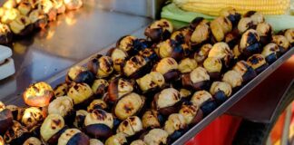 Sokak lezzetleri, bir şehrin hafızasını, gündelik yaşam temposunu ve toplumsal çeşitliliğini en yalın haliyle yansıtan mutfak pratikleri arasında yer alır. Kimi zaman ayaküstü yenilen bir lokma, kimi zaman gece geç saatlerde paylaşılan sıcak bir tat, sokak lezzetlerinin yalnızca karın doyurmaktan ibaret olmadığını gösterir. Bu lezzetler, şehir yaşamının hızına uyum sağlayan pratik çözümler sunarken, aynı zamanda kültürel kimliğin de taşıyıcısıdır. Konulu bir haber görseli.