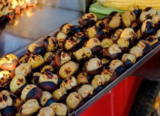 Sokak lezzetleri, bir şehrin hafızasını, gündelik yaşam temposunu ve toplumsal çeşitliliğini en yalın haliyle yansıtan mutfak pratikleri arasında yer alır. Kimi zaman ayaküstü yenilen bir lokma, kimi zaman gece geç saatlerde paylaşılan sıcak bir tat, sokak lezzetlerinin yalnızca karın doyurmaktan ibaret olmadığını gösterir. Bu lezzetler, şehir yaşamının hızına uyum sağlayan pratik çözümler sunarken, aynı zamanda kültürel kimliğin de taşıyıcısıdır. Konulu bir haber görseli.