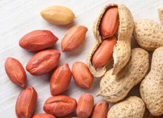 Yer fıstığı, lezzeti ve besin değeriyle pek çok kişinin favori atıştırmalığı olsa da, bazı kişiler için ciddi alerjik reaksiyonlar oluşturabilir. Yer fıstığı alerjisi, özellikle çocuklarda ve gençlerde yaygın görülen bir gıda alerjisidir ve doğru beslenme stratejileriyle yönetilmelidir. Bu bağlamda alerji dostu diyet uygulamaları, hem sağlık hem de yaşam kalitesi açısından büyük önem taşır. İnsanlar artık sadece lezzet değil, aynı zamanda güvenli tüketim açısından da bilinçli seçimler yapıyor. Konulu bir haber görseli.