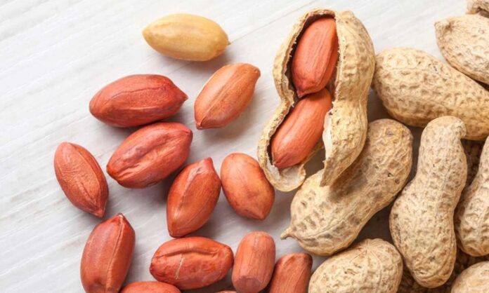 Yer Fıstığı Alerjisine Uygun Beslenme ve Güvenli Diyet Önerileri Yer fıstığı, lezzeti ve besin değeriyle pek çok kişinin favori atıştırmalığı olsa da, bazı kişiler için ciddi alerjik reaksiyonlar oluşturabilir. Yer fıstığı alerjisi, özellikle çocuklarda ve gençlerde yaygın görülen bir gıda alerjisidir ve doğru beslenme stratejileriyle yönetilmelidir. Bu bağlamda alerji dostu diyet uygulamaları, hem sağlık hem de yaşam kalitesi açısından büyük önem taşır. İnsanlar artık sadece lezzet değil, aynı zamanda güvenli tüketim açısından da bilinçli seçimler yapıyor. Konulu bir haber görseli.