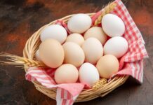 Yumurta, protein ve vitamin açısından zengin bir gıda olarak birçok kişinin beslenme rutininde yer alır. Ancak bazı bireylerde ciddi alerjik reaksiyonlara neden olabilir. Yumurta alerjisi, özellikle çocuklarda yaygın görülen bir durumdur ve doğru diyet planlaması ile güvenli bir şekilde yönetilebilir. Bu nedenle yumurta alerjisine uygun beslenme, hem sağlığı korumak hem de yaşam kalitesini artırmak açısından büyük önem taşır. Konulu bir haber görseli.