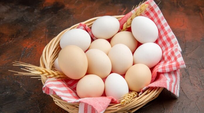 Yumurta, protein ve vitamin açısından zengin bir gıda olarak birçok kişinin beslenme rutininde yer alır. Ancak bazı bireylerde ciddi alerjik reaksiyonlara neden olabilir. Yumurta alerjisi, özellikle çocuklarda yaygın görülen bir durumdur ve doğru diyet planlaması ile güvenli bir şekilde yönetilebilir. Bu nedenle yumurta alerjisine uygun beslenme, hem sağlığı korumak hem de yaşam kalitesini artırmak açısından büyük önem taşır. Konulu bir haber görseli.