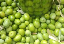 Akdeniz ve Ege coğrafyasının mutfak kültüründe özel bir yere sahip olan zeytin kırma, yalnızca bir hazırlık yöntemi değil, aynı zamanda köklü bir yaşam alışkanlığıdır. Zeytin ağaçlarının meyvesi olan zeytinin sofraya ulaşmadan önce geçirdiği bu süreç, sabır ve deneyim gerektirir. Zeytin kırma, doğrudan tüketilemeyen zeytinin geleneksel yöntemlerle yenilebilir hâle getirilmesini sağlar. Konulu bir haber görseli.