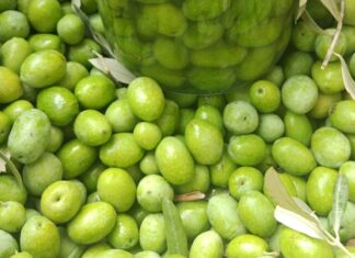 Akdeniz ve Ege coğrafyasının mutfak kültüründe özel bir yere sahip olan zeytin kırma, yalnızca bir hazırlık yöntemi değil, aynı zamanda köklü bir yaşam alışkanlığıdır. Zeytin ağaçlarının meyvesi olan zeytinin sofraya ulaşmadan önce geçirdiği bu süreç, sabır ve deneyim gerektirir. Zeytin kırma, doğrudan tüketilemeyen zeytinin geleneksel yöntemlerle yenilebilir hâle getirilmesini sağlar. Konulu bir haber görseli.