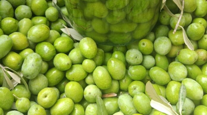 Akdeniz ve Ege coğrafyasının mutfak kültüründe özel bir yere sahip olan zeytin kırma, yalnızca bir hazırlık yöntemi değil, aynı zamanda köklü bir yaşam alışkanlığıdır. Zeytin ağaçlarının meyvesi olan zeytinin sofraya ulaşmadan önce geçirdiği bu süreç, sabır ve deneyim gerektirir. Zeytin kırma, doğrudan tüketilemeyen zeytinin geleneksel yöntemlerle yenilebilir hâle getirilmesini sağlar. Konulu bir haber görseli.