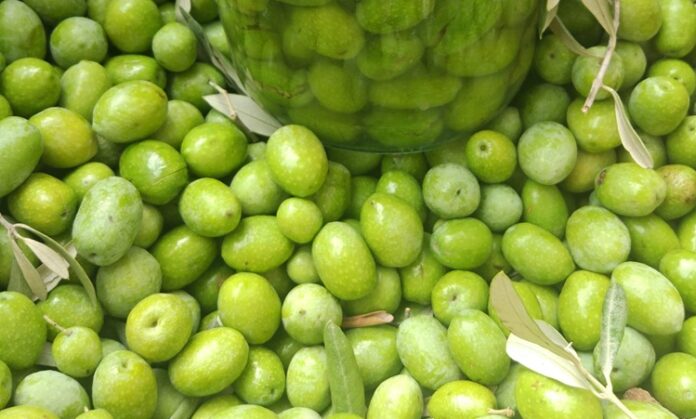 Zeytin Ağaçlarından Sofralara Uzanan Zeytin Kırma Geleneği Akdeniz ve Ege coğrafyasının mutfak kültüründe özel bir yere sahip olan zeytin kırma, yalnızca bir hazırlık yöntemi değil, aynı zamanda köklü bir yaşam alışkanlığıdır. Zeytin ağaçlarının meyvesi olan zeytinin sofraya ulaşmadan önce geçirdiği bu süreç, sabır ve deneyim gerektirir. Zeytin kırma, doğrudan tüketilemeyen zeytinin geleneksel yöntemlerle yenilebilir hâle getirilmesini sağlar. Konulu bir haber görseli.