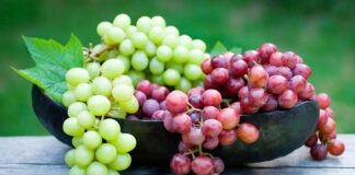 Üzüm, insanlık tarihinin en eski tarım ürünlerinden biri olarak hem beslenme kültüründe hem de ekonomik hayatta özel bir yere sahiptir. Binlerce yıldır farklı coğrafyalarda yetiştirilen üzüm, taze tüketimden kuru meyveye, pekmezden geleneksel ürünlere kadar geniş bir kullanım alanına sahiptir. Türkiye gibi bağcılık kültürünün güçlü olduğu ülkelerde üzüm, yalnızca bir meyve değil; aynı zamanda gelenek, emek ve üretimin simgesi olarak görülür. Konulu bir haber görseli.